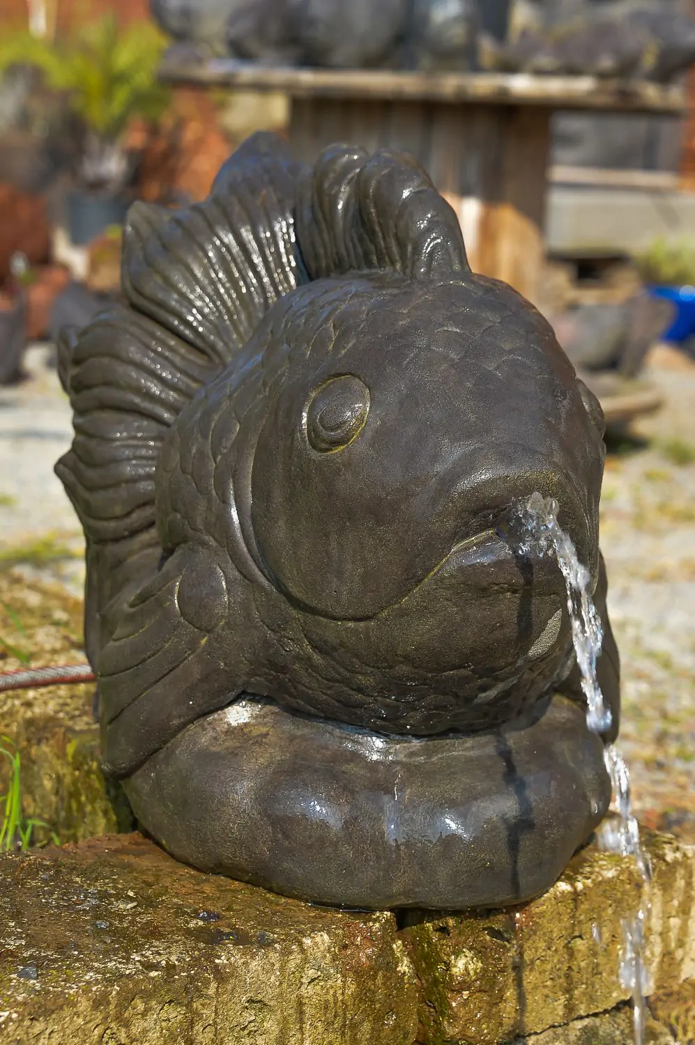  Product image 3 of the product “Fish as water feature, model fighting fish, approx. 65cm long, cast stone ”